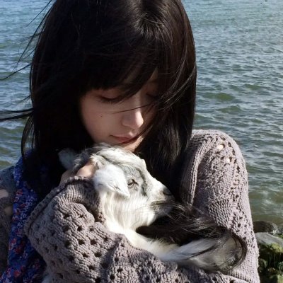 完美革命海报